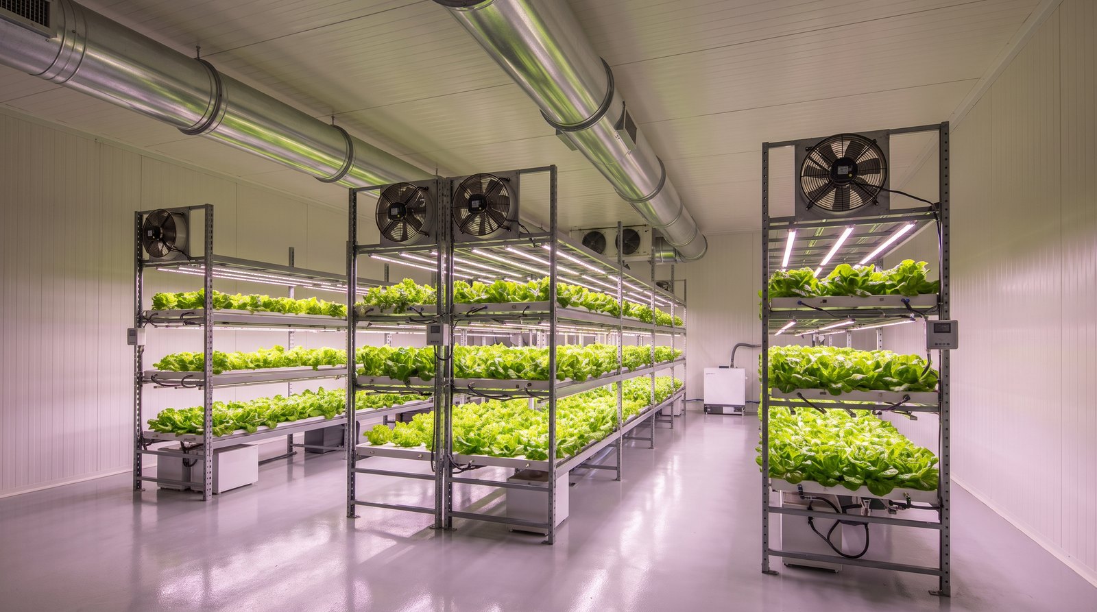 Dutos de climatização e ventiladores de circulação em sala de plant factory com racks de folhosas sob LED